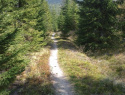 79.jpg