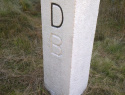 241.jpg