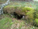 05.jpg
