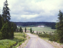 174.jpg