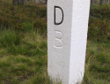 097.jpg