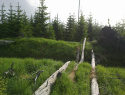 186.jpg