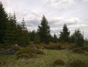 07.jpg