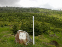 124.jpg