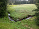 184.jpg