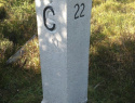 242.jpg