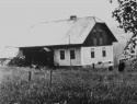 010.jpg