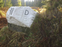 137.jpg