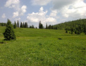 190.jpg