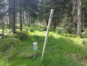 193.jpg