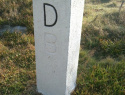249.jpg