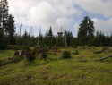 07.jpg