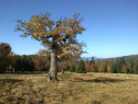 106.jpg