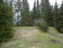 07.jpg