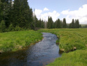 156.jpg
