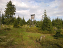 06.jpg