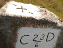 260.jpg
