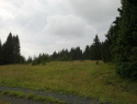 146.jpg