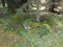 174.jpg