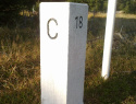 248.jpg