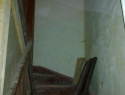 194.jpg