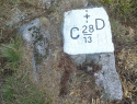 260.jpg