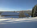 167.jpg