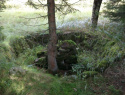 175.jpg