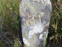 107.jpg