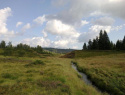 08.jpg