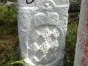 141.jpg