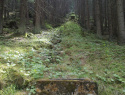 49.jpg 49.jpg