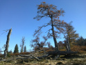 109.jpg
