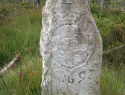 83.jpg