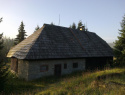 181.jpg