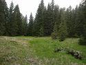 06.jpg