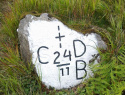 218.jpg