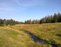 116.jpg