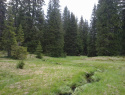 05.jpg