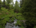 05.jpg