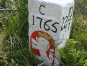 140.jpg