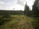 05.jpg