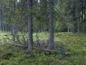 04.jpg
