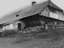 05.jpg