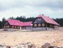 08.jpg