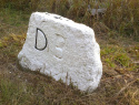 266.jpg