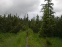 05.jpg