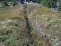 186.jpg