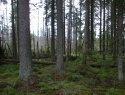 05.jpg