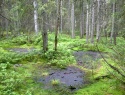 06.jpg